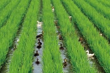 土壤水分測(cè)定儀